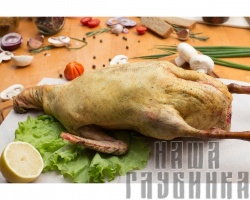 Домашняя утка